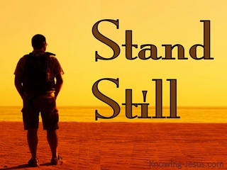 Exodus 14:13 Stand Still (devotional)03:13 (orange)